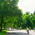 Bike Lexington, 2010